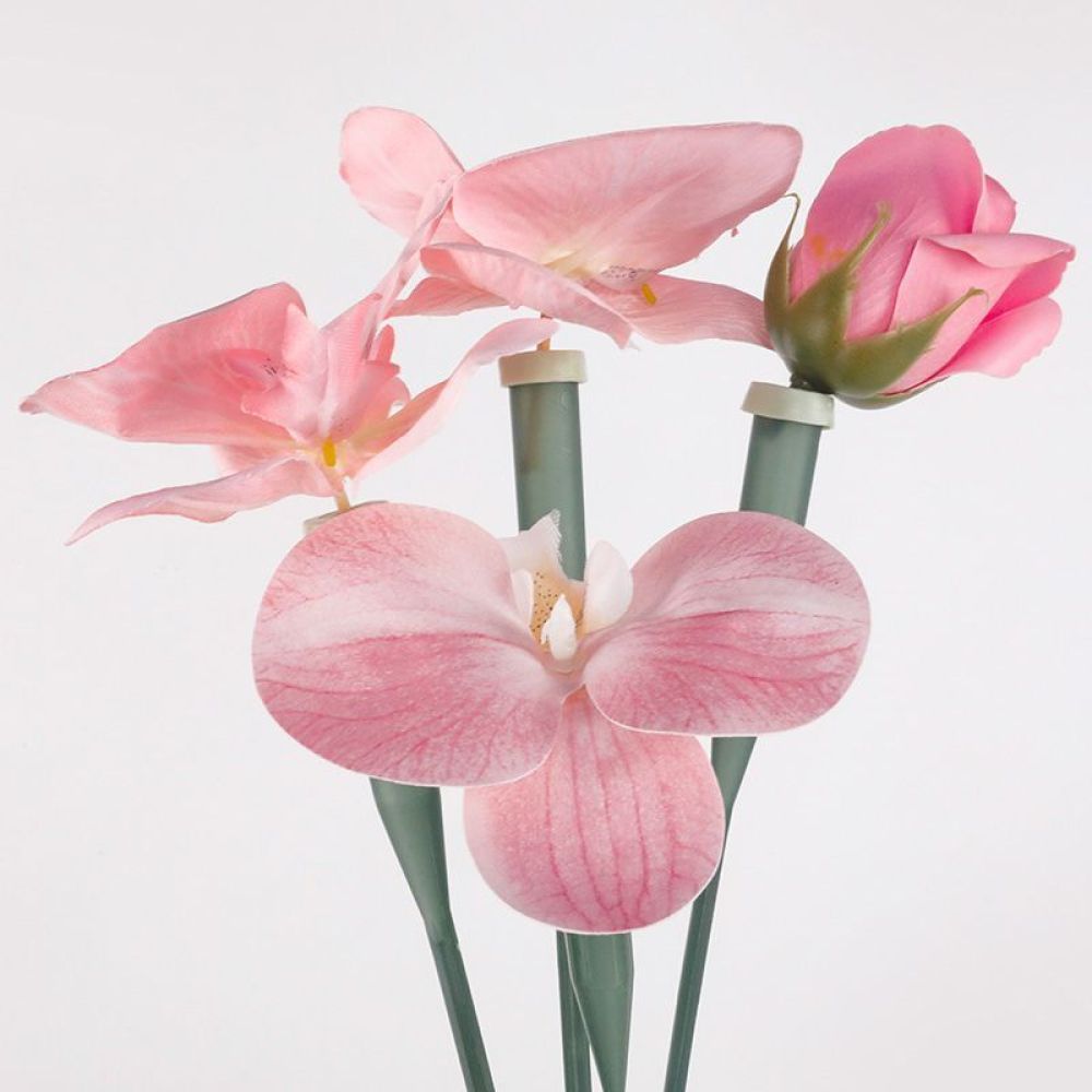 Florist Supply Shop - Tubi Conservanti per Fiori, Fiale in