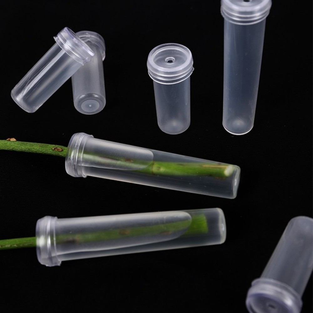 Fiale di Acqua Floreale a Lung - Florist Supply Shop recensione e prezzo