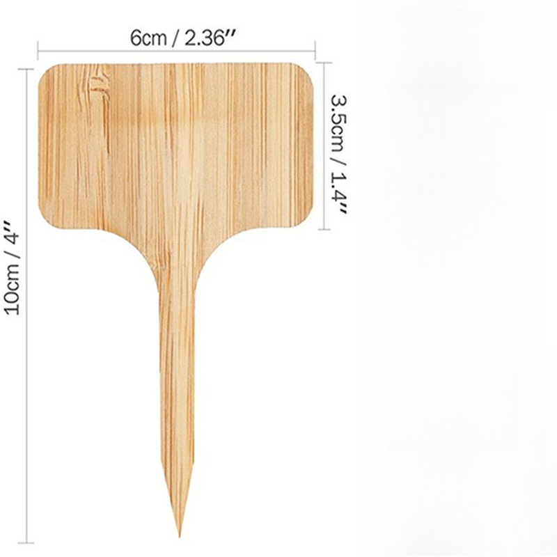 100 Pezzi di Etichette in Legn - Floral Picks Wood recensione e prezzo
